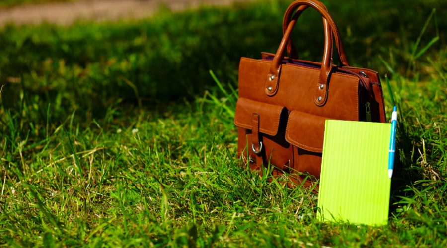 Eco-Friendly Travel Tips for Elgin Valley Adventures