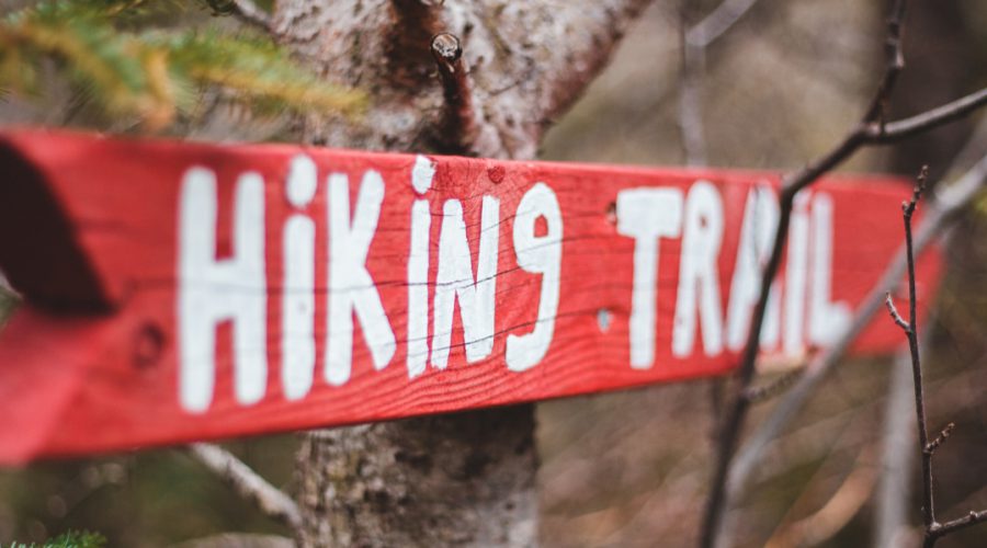 Best Hiking Trails in Elgin Valley for Adventure Lovers