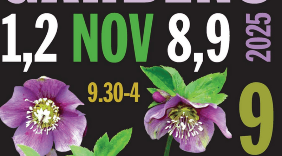 Elgin Open Gardens 2025: A Celebration of Colour and Community