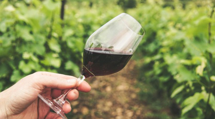 Wine-Tasting Getaways: Tips for Planning Your Perfect Escape