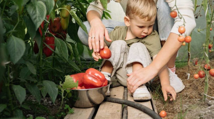 Green Living in Elgin Valley: Sustainable Secrets from the Heart of the Overberg